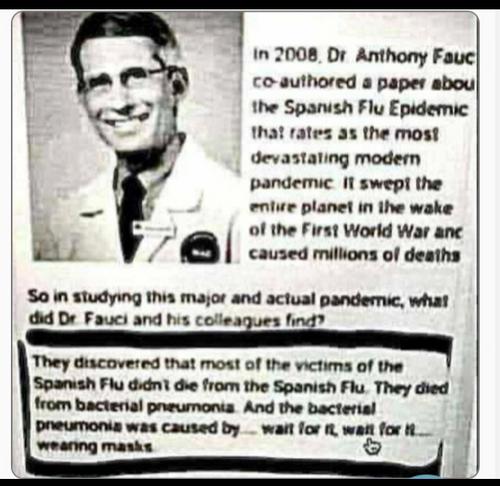 d557a2fcd8cda135c6b066bd4daa42c1_500x0