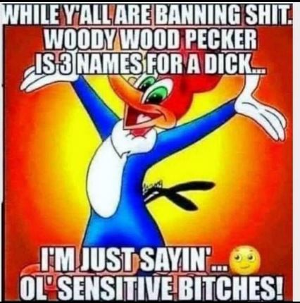 bidenwoodywoodpecker