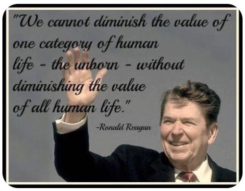 b3a630a62d8b2d9e794b11377d4c11e4_1024