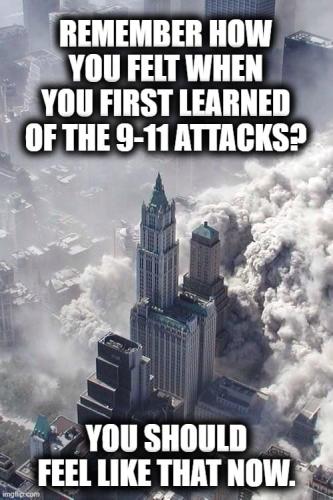 113