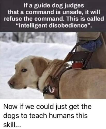 430F58D8-E77C-4670-8CEE-87F0E2AC03D0