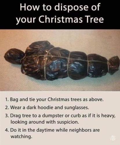 FB_IMG_1641160372023