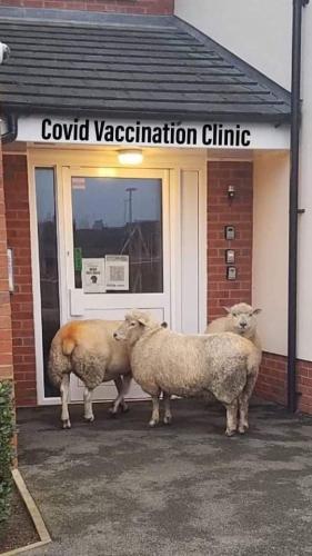 IMG_20220105_204833_008