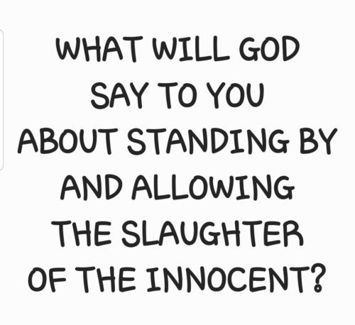 Screenshot_20220115-093522_S Note