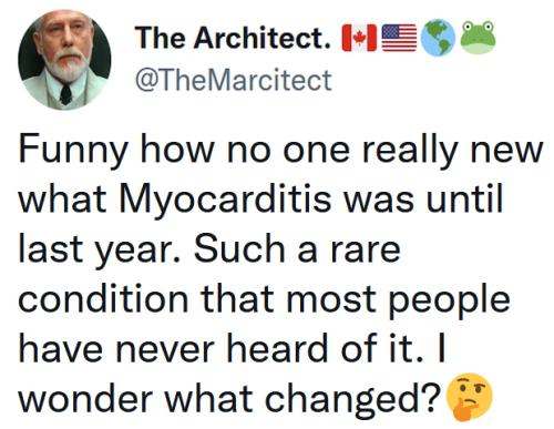 79C11385-A1F5-4FFD-83A4-97B72CB9E69F