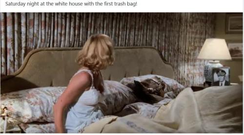 bidenwhitehousefirsttrashbag