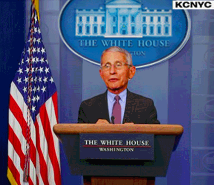 8B8FF1B1-60D0-417C-8186-F1EC97BFBD7F