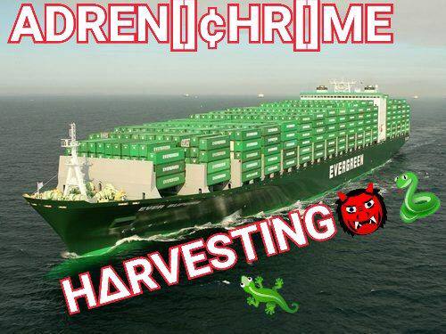 IMG_20220103_095205_047