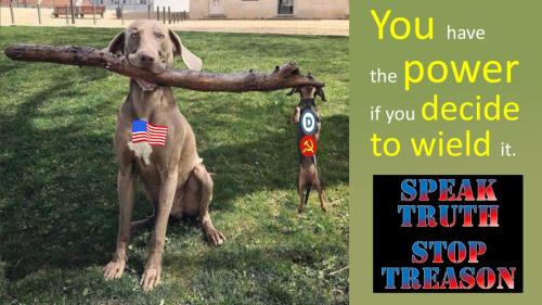 0000truth dogs