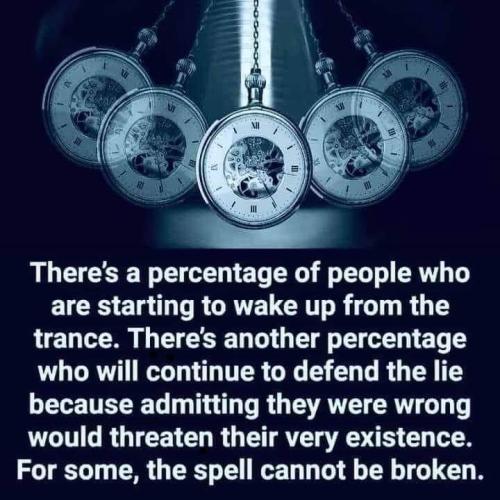 FB_IMG_1643482108311