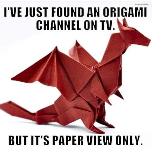 271242424_10166343332780355_2247310218244742501_n