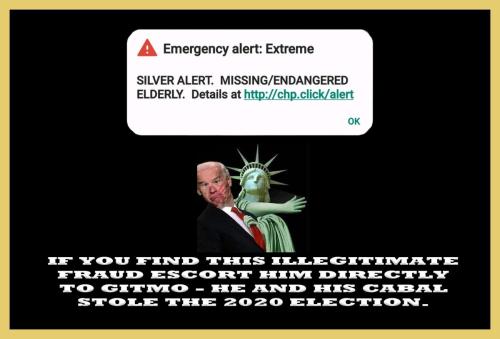 1-1-A-A-A-A=1-A-BIDEN-SILVER-ALERT-FINAL