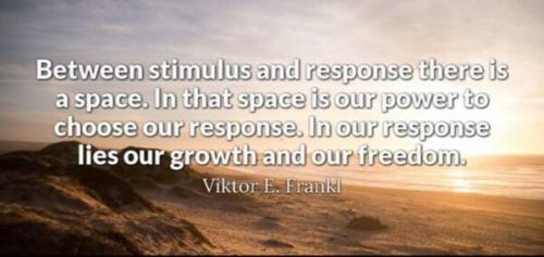 IMG_20220105_100648_148