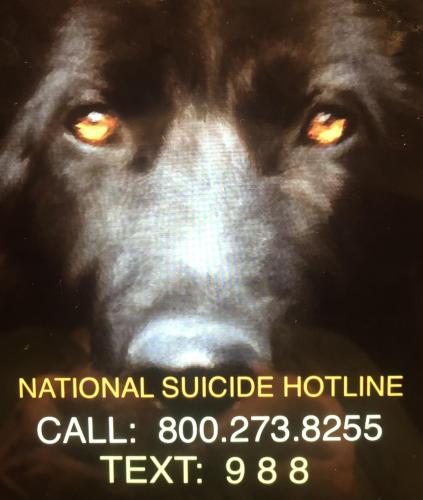 2BF2630E-D6E0-43E8-B5C1-06BE62D805AC