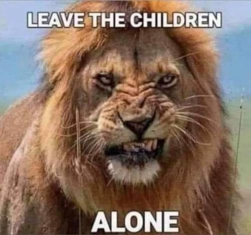 image_1643422068.487