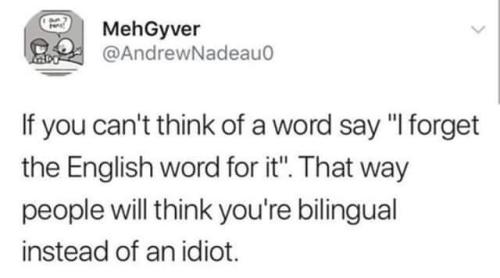 7238898B-1C72-4DC0-AB07-8D7772993799