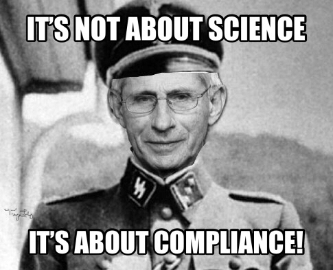 image_1641152675.589