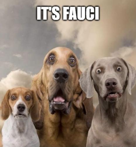 9F7999F6-B1BB-47BD-B50A-810C9BD2EE0E