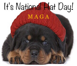 7C2BB9EC-A641-4722-AF93-4C2D6240B536