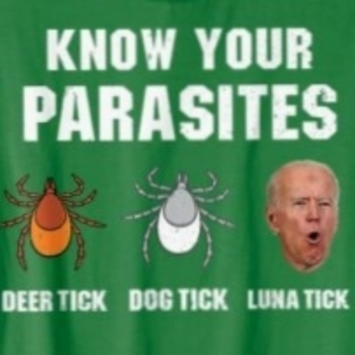 1642375884857_hub_od_