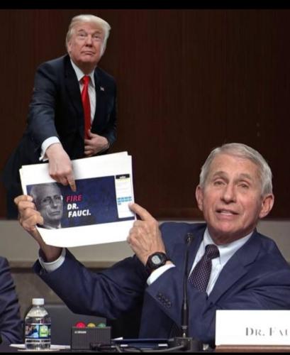 68b9736c-6bb4-4bb2-9d9f-bbc086b05c9ad