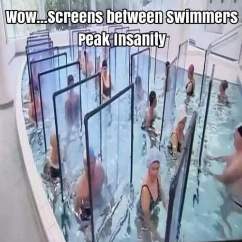 morestupidity
