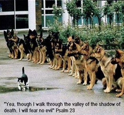 38E615BC-4272-484C-91F9-156493ACEE55