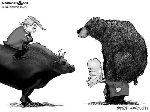 bullbear