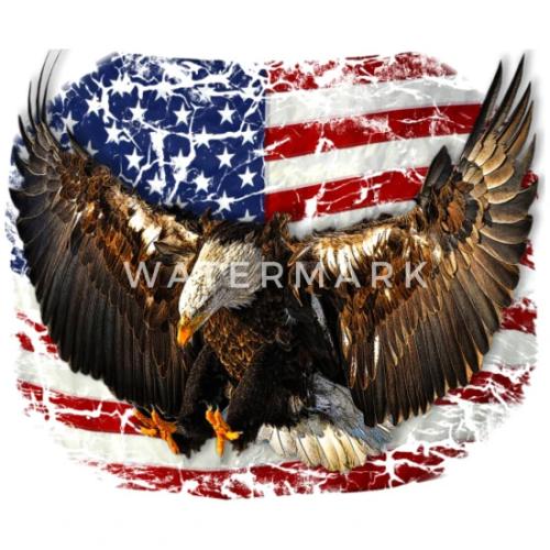 eagle-usa-flag-freedom-womens-t-shirt