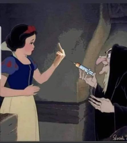 241504064_128888582802574_9214996629200060910_n