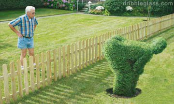 mooning shrub