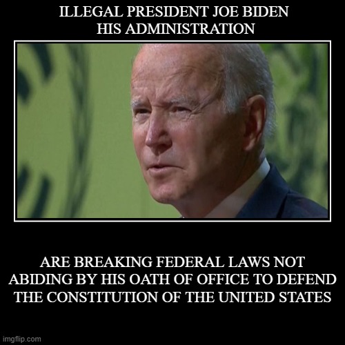 BIDENCONSTITUTION