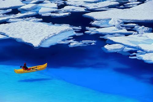 Glacier Bay