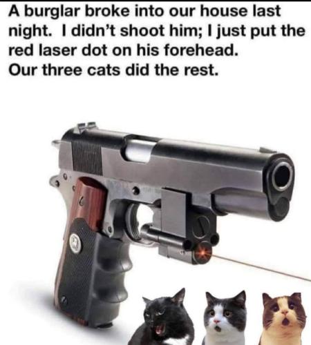 Screenshot_20220118-202118_YoReSpot