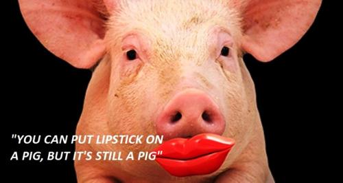 lipstick on a pig