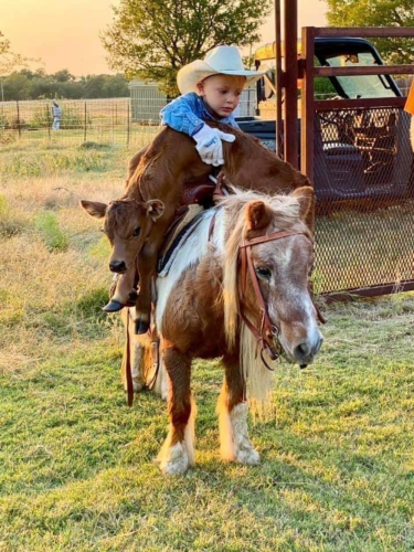 1643561175457_hub_od_