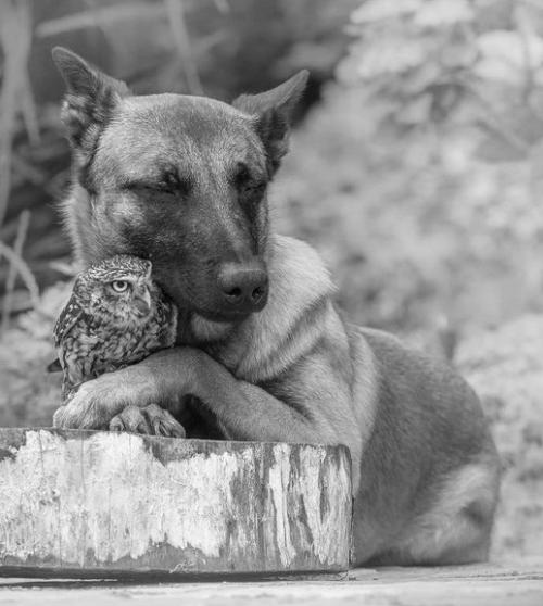 9AE6D6DF-0AB9-45BE-B4B1-31E47CE7FBA2