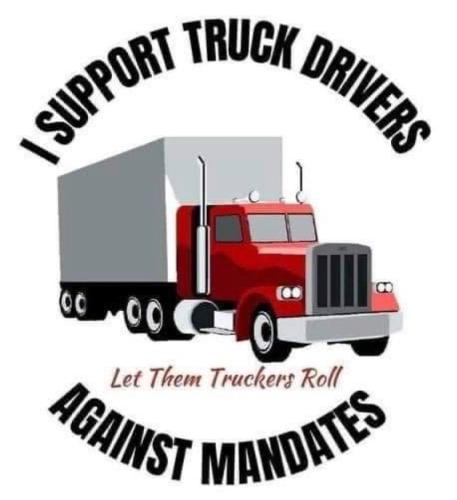 image_1643476283.429