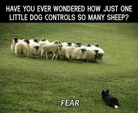 FEAR