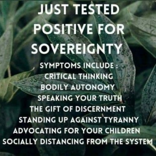 1643298157510_hub_od_