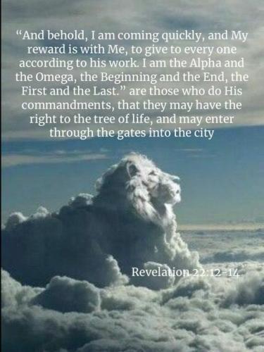 06ddf6d0-dfc5-48c8-acd5-ccc76b4eac5e