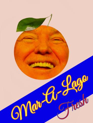 c144f921b0e370c21e87f4a33c33ce04_500x0