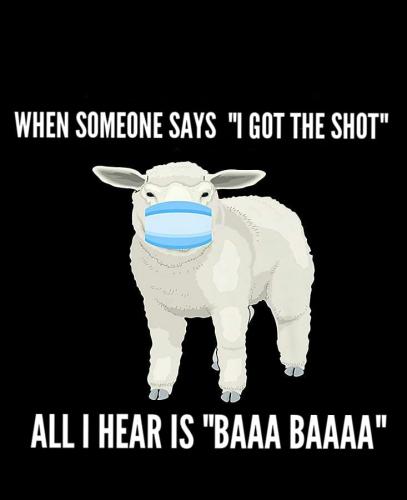 271198399_4976334569064285_7359650064039650453_n