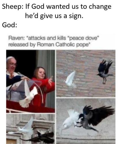 0000peace dove