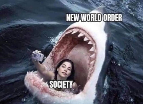 Meme516