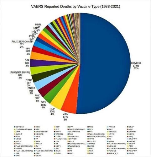 DEATH BY VACCINE REPORT