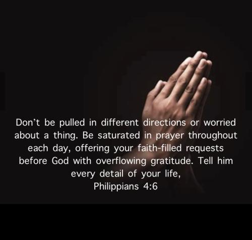 ADCF9CB0-588F-435C-804D-0227692B426A