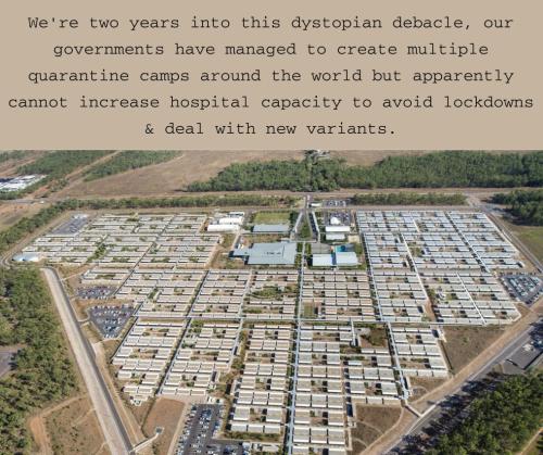 20651db3-3328-492a-aa78-0c92bd31ec10d