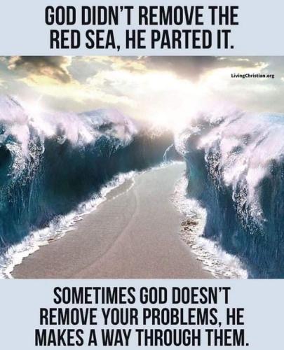 FB_IMG_1643116777576