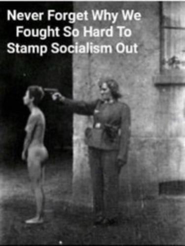 8cdf32f96081f409ed371a36fd3883b0_500x0